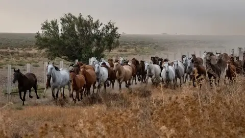 Fuente: Diputaci&oacute;n de Huelva