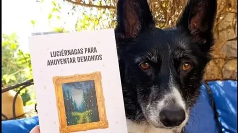 Fuente: Facebook de F&aacute;tima Javier