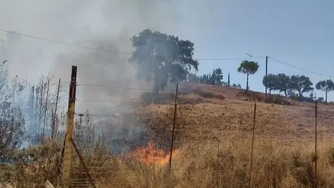 Fuente: Infoca