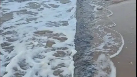 Emisarios submarinos en las playas de Huelva. Fuente. Tiktok de pescamaniacos