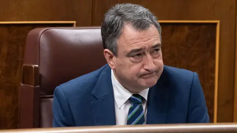 Aitor Esteban. Fuente:RTVE