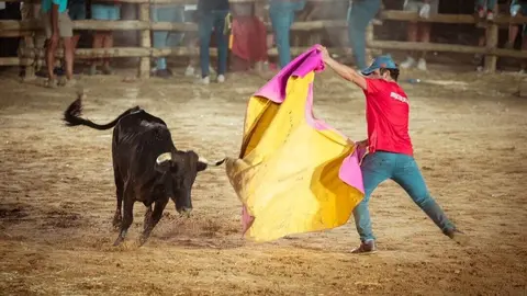 Fin a las Fiestas Tradicionales Taurinas en Trigueros. Fuente: Ayto. Trigueros