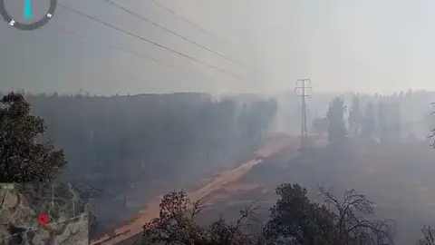 As&iacute; ha quedado la zona tras el incendio en Zalamea la Real. Fuente: INFOCA
