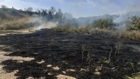 Incendio en Bonares, paraje Valdeperdido. Fuente: INFOCA