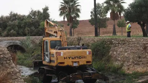 Limpieza de arroyos y caminos en Palos de la Frontera
