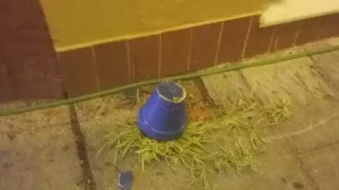 As&iacute; se ha encontrado una de las macetas de Almonte. Fuente: Ayto. Almonte
