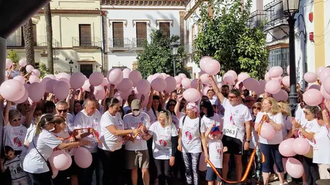 IX Marcha Solidaria contra el c&aacute;ncer en La Palma del Condado. Fuente: Ayto. La Palma