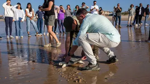 Armeria regresa al mar. Fuente: Facebook Espacio Natural de Do&ntilde;ana