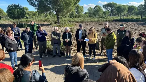 Bosques de la poes&iacute;a en Marismas del Odiel