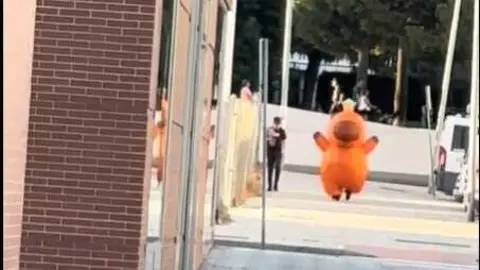 Persona disfrazada de capibara por las calles de Huelva. Fuente: Tiktok de compartidoss60