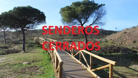 Todos los senderos del Espacio Natural de Do&ntilde;ana cerrar&aacute;n este jueves por la borrasca Claudia. Fuente: Facebook Espacio Natural de Do&ntilde;ana