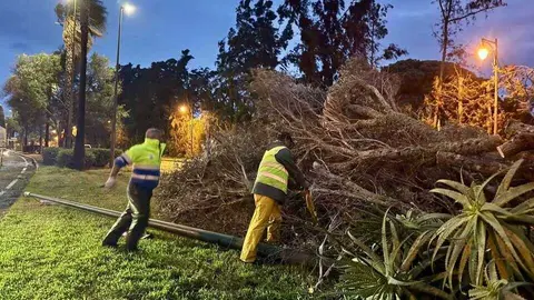 As&iacute; trabaja Ayamonte tras los numerosos desperfectos de la borrasca Claudia. Fuente: Ayto. Ayamonte