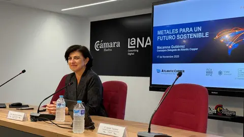 Fuente: Carlos Mart&iacute;nez Brea.