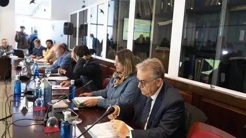 Fuente: Ayuntamiento de Almonte