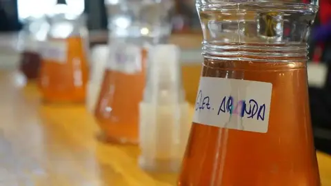Feria del Mosto 2024. Fuente: Rafa Caballero