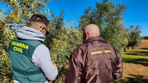 La Guardia Civil refuerza la lucha contra los robos en explotaciones agr&iacute;colas en la provincia de Huelva. Fuente: Guardia Civil