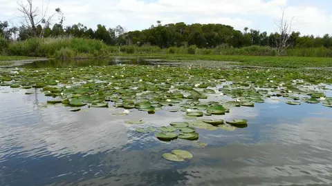 As&iacute; se encuentra la Laguna de las Madres