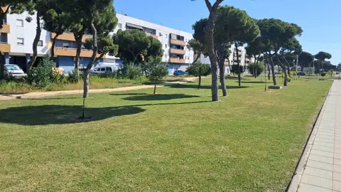 Fuente: Ayuntamiento de Punta Umbr&iacute;a