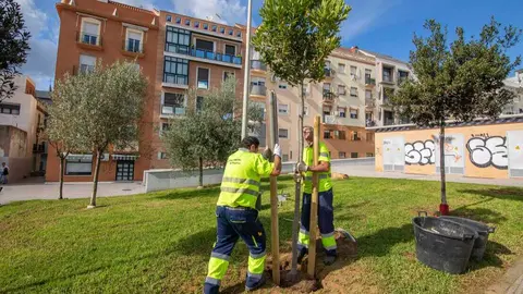 Plantaci&oacute;n de &aacute;rboles en Huelva. Fuente: Ayto. Huelva
