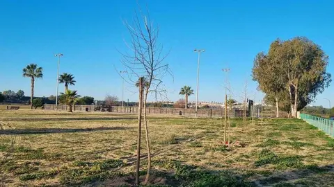 Fuente: Ayuntamiento de Aljaraque