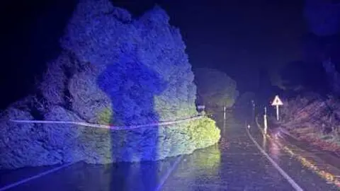 Carretera de Malpika en Cartaya est&aacute; cortada por la ca&iacute;da de un &aacute;rbol. Fuente: Facebook Manuel Barroso