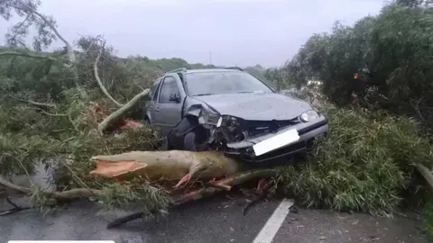 As&iacute; qued&oacute; el coche tras la ca&iacute;da del &aacute;rbol. Fuente: Facebook Plataforma Polic&iacute;as Locales de Rociana
