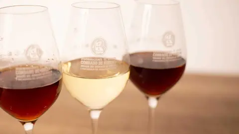 Ruta del Vino Condado de Huelva