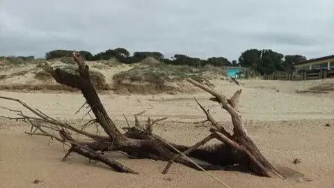 Fuente: Ayuntamiento de Punta Umbr&iacute;a