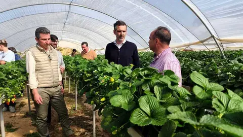 Fuente: Junta de Andaluc&iacute;a