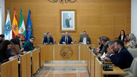 Pleno en el d&iacute;a de hoy. Fuente: Facebook Diputaci&oacute;n de Huelva