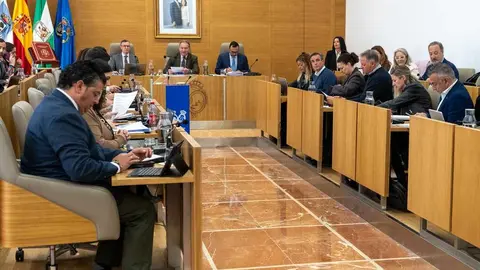 Pleno de la Diputaci&oacute;n. Fuente: Diputaci&oacute;n de Huelva