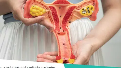 Fuente: Quir&oacute;nsalud Huelva