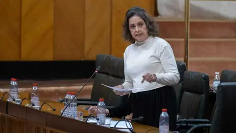 La consejera de Sostenibilidad y Medio Ambiente, Catalina Garc&iacute;a, durante su intervenci&oacute;n en el Parlamento de Andaluc&iacute;a. Fuente: Junta de Andaluc&iacute;a