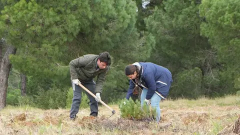 Fuente: Facebook Ayuntamiento de Cartaya