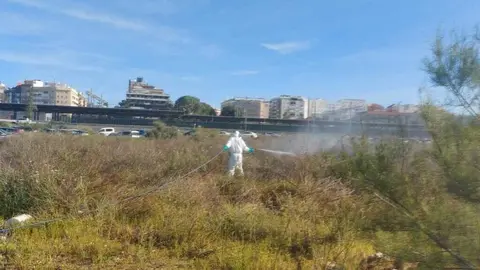 Fuente: Diputaci&oacute;n de Huelva