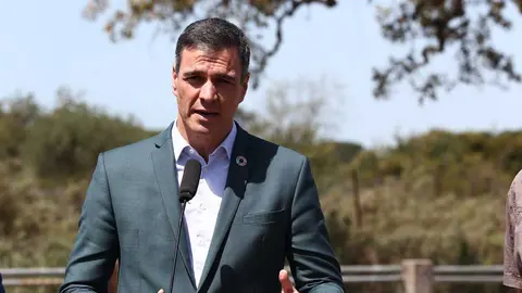 S&aacute;nchez en Do&ntilde;ana en una anterior ocasi&oacute;n
