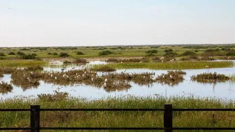 Fuente: Facebook Espacio Natural de Do&ntilde;ana