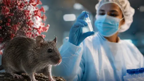 Preocupaci&oacute;n por el hantavirus