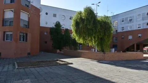 Fuente: Facebook Ayuntamiento de Punta Umbr&iacute;a