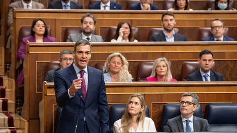S&aacute;nchez comparece en el Congreso de los Diputados