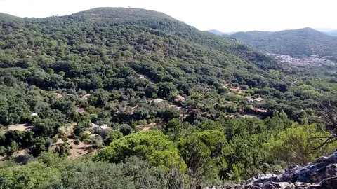El Calabacino 3