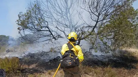 Un bombero se emplea a fondo contra el incendio de Do&ntilde;ana
