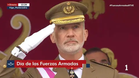Esta fue la cara del Rey Felipe VI tras ver la ca&iacute;da de la bandera. Fuente: RTVE
