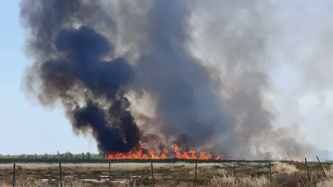 Incendio en Gibrale&oacute;n