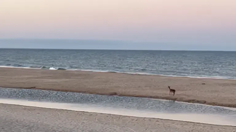 Amanecer en Matalasca&ntilde;as
