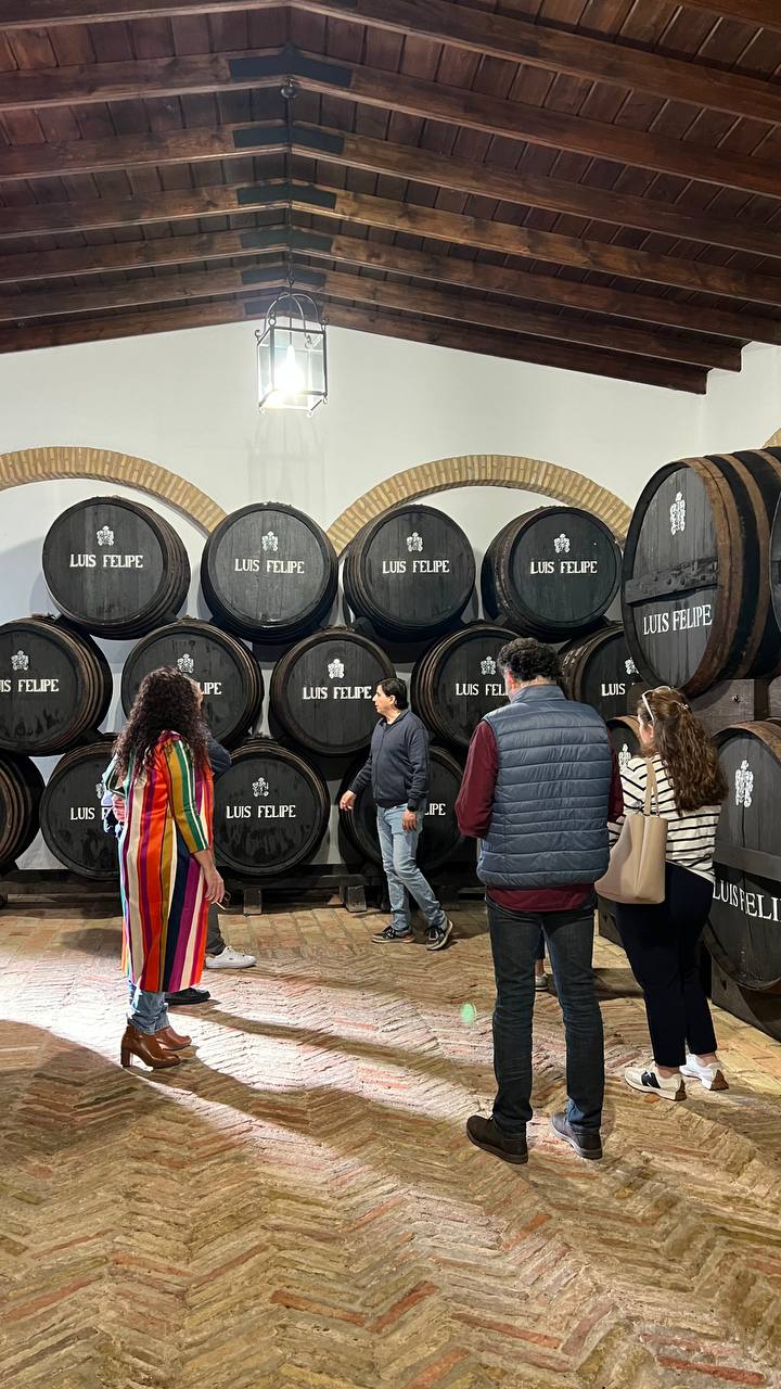 Fam Trip VIMAR Condado de Huelva (2)