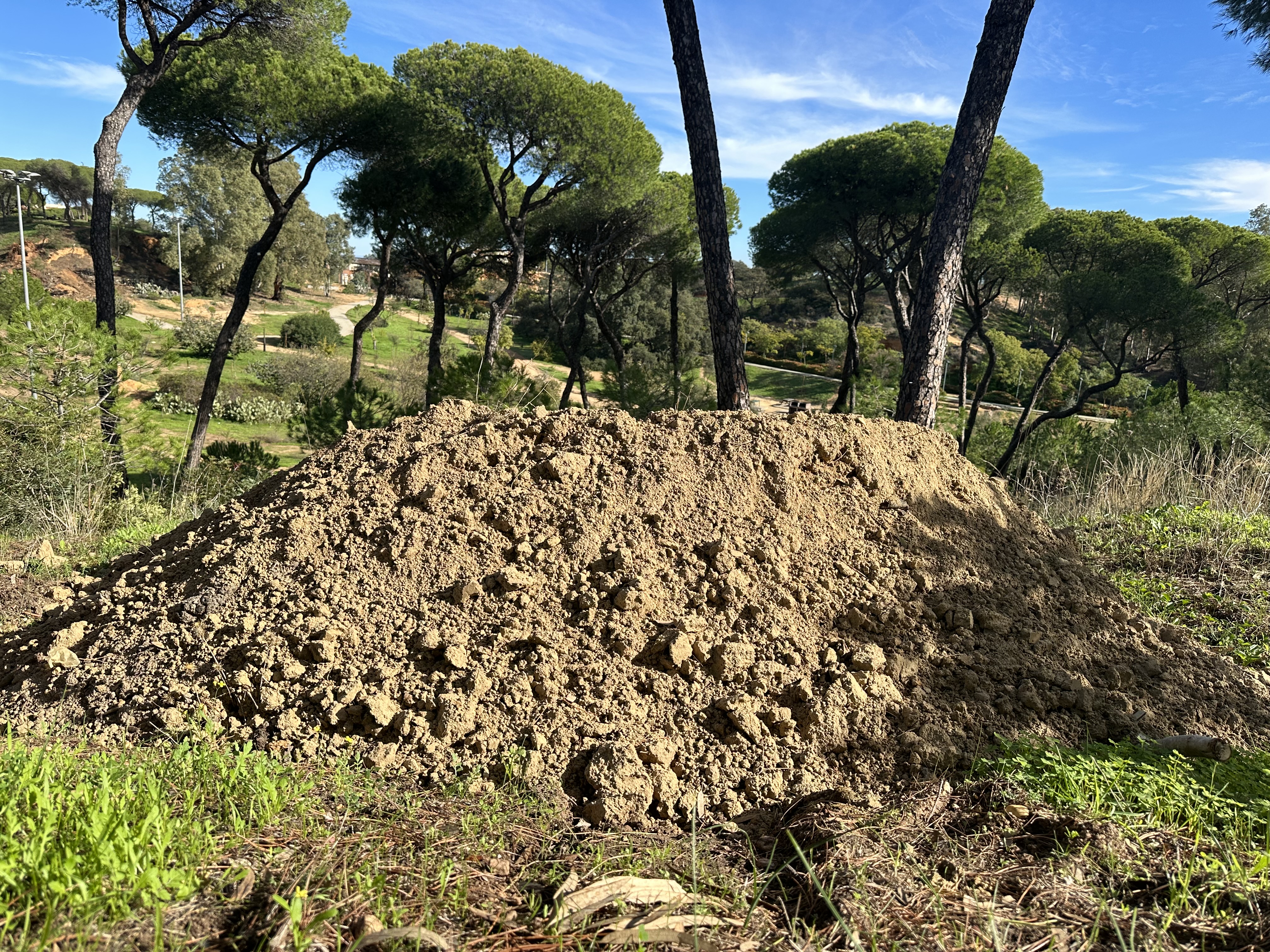 Foto de archivo de los refugios de animales en el Parque Moret. Fuente: Imagen de archivo