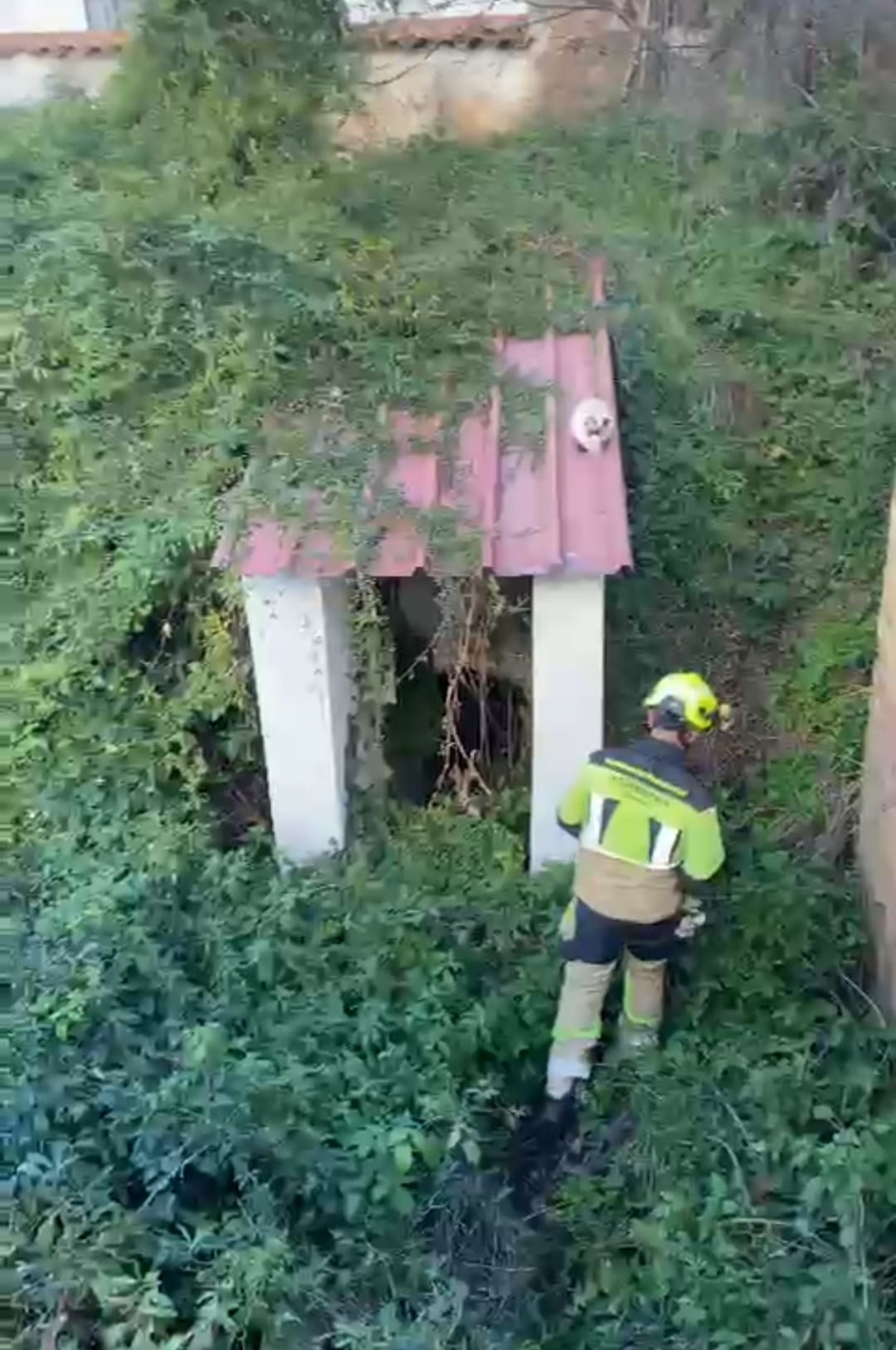 Foto: Bomberos del Consorcio