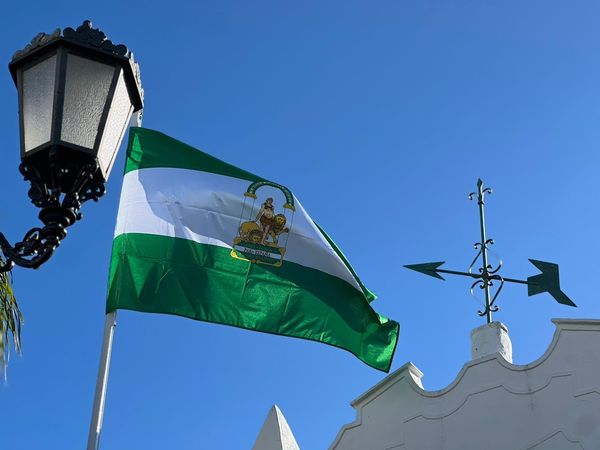 Izada de la bandera. Foto: Ayuntamiento de Lepe