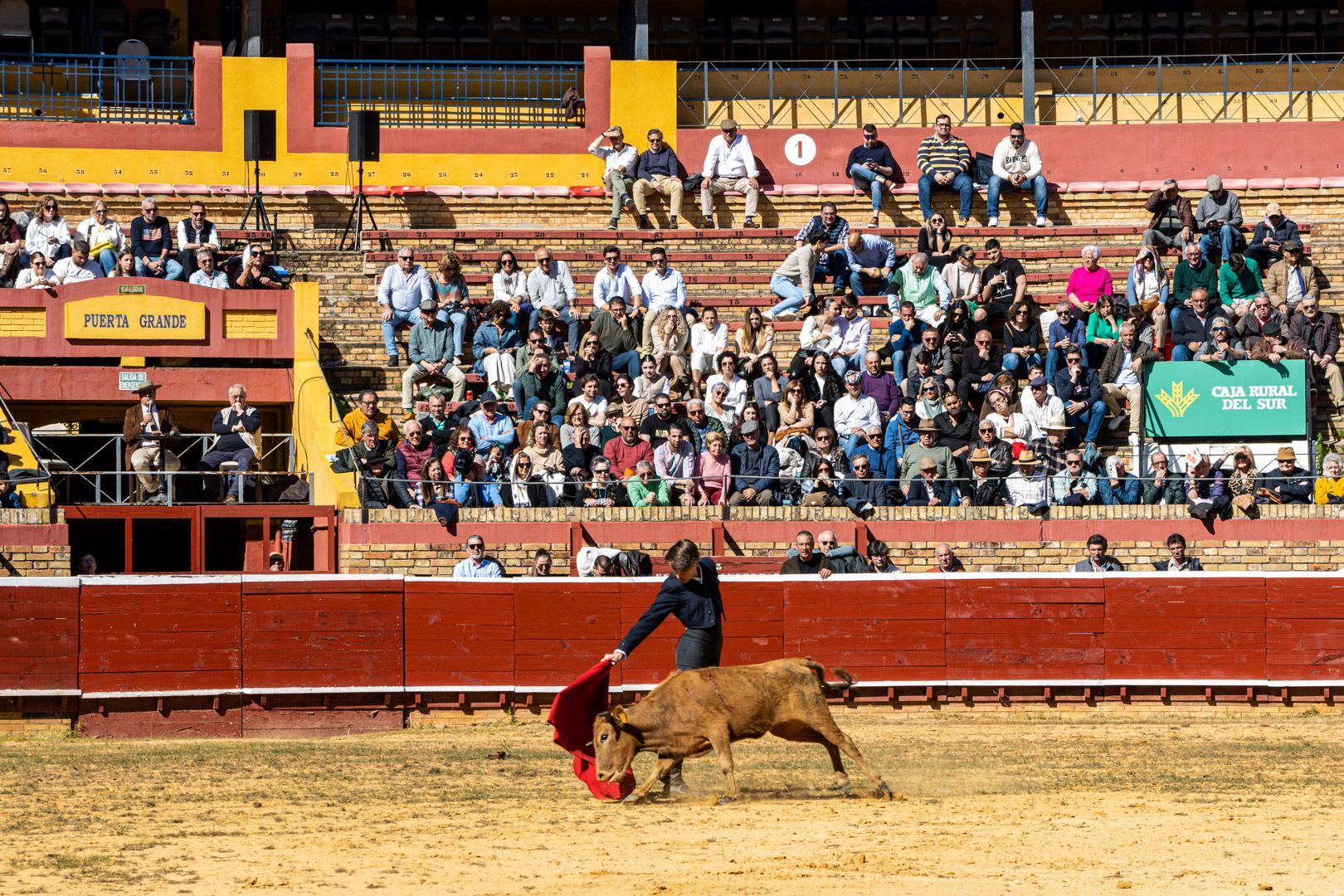 Los tendidos